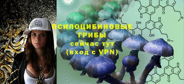 MDMA Premium VHQ Дмитровск