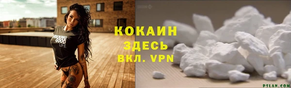 дживик Анива