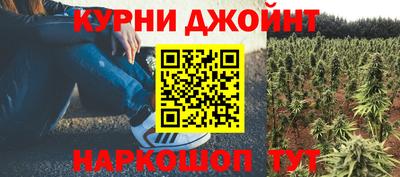 твердый Камышлов