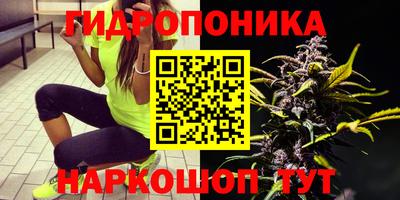 твердый Камышлов