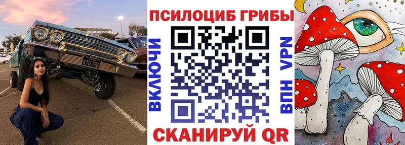 Галлюциногенные грибы Psilocybe  Заречный 