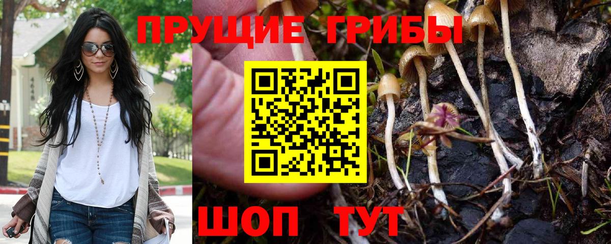 Галлюциногенные грибы мухоморы Заречный