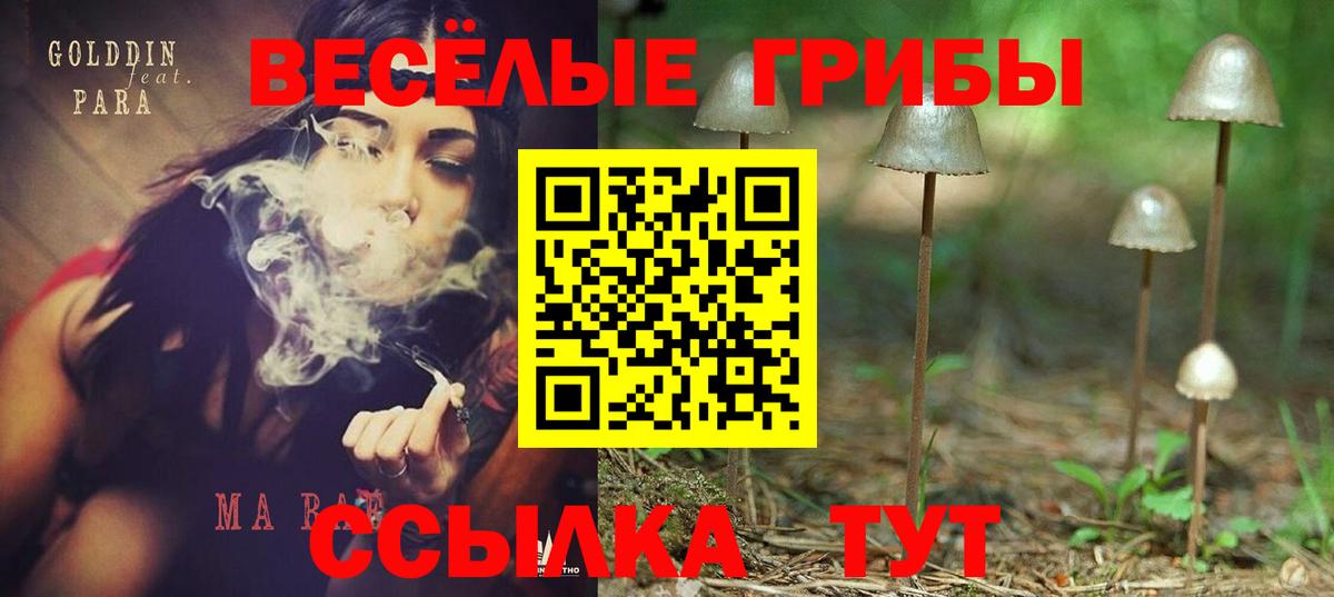 Псилоцибиновые грибы Psilocybe Заречный